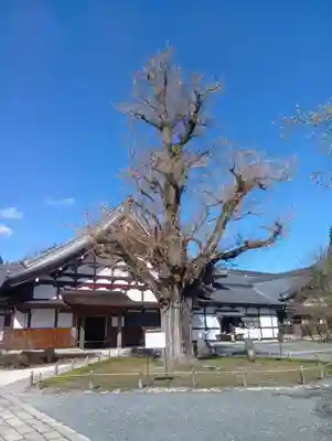 永保寺(岐阜県)