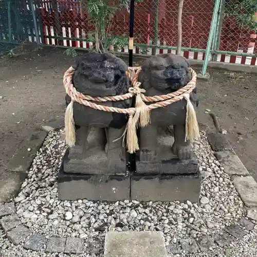 浅草神社の狛犬