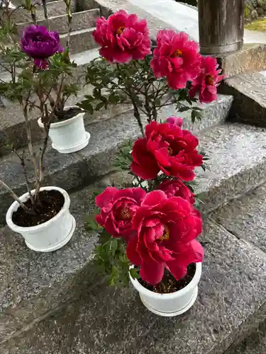 長谷寺(奈良県)