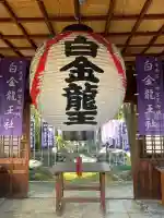 白金龍王社(愛知県)