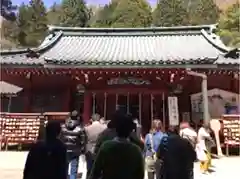 箱根神社の本殿