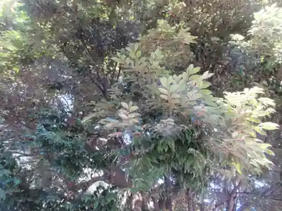 別所白山神社(神奈川県)