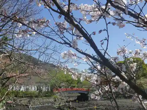 鶴岡八幡宮の自然