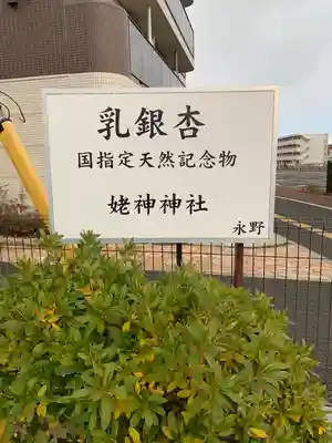 姥神神社(宮城県)