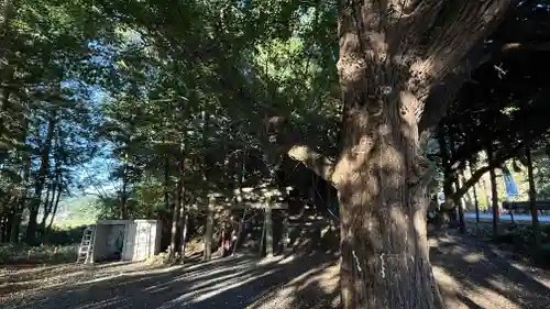 石手堰神社(岩手県)
