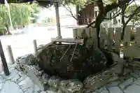 多田神社の手水舎