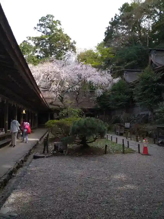 吉野水分神社(吉野町)の本殿・本堂