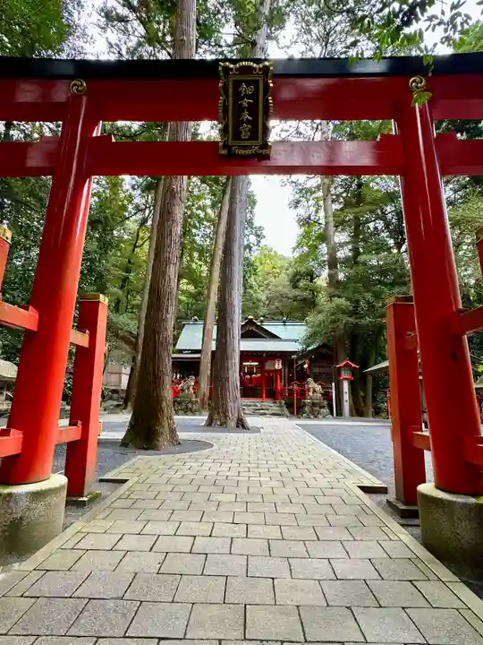 椿岸神社(三重県)
