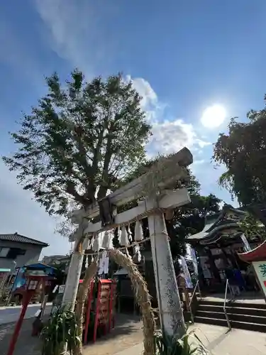 川越八幡宮(埼玉県)