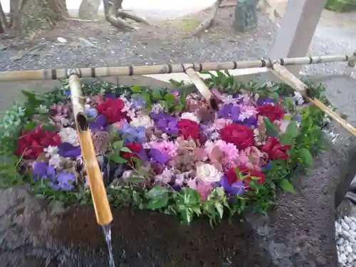 千歳神社の手水