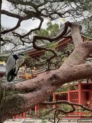 平等院(京都府)