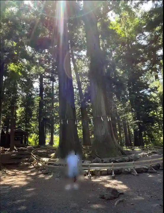 河口浅間神社(山梨県)