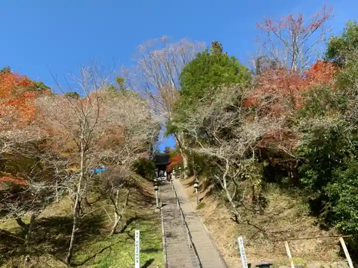川見薬師寺のその他建物