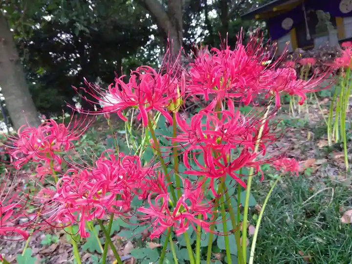江守神社(福井県)