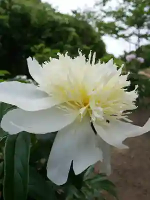 金蛇水神社(宮城県)