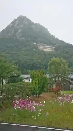 阿賀神社の自然