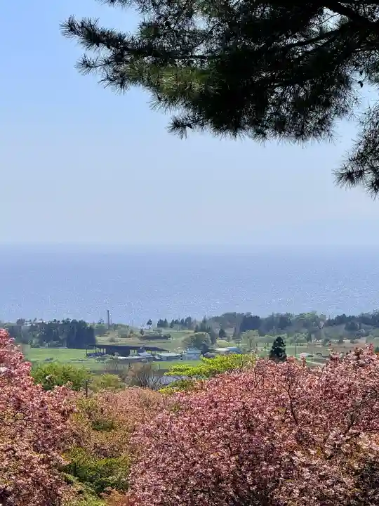 石崎地主海神社の{uncategorized: "未分類", other: "その他", undefined: "問題あり", building: "その他建物", grave: "お墓", sacred_gate: "鳥居", guardian: "狛犬", statue: "像", buddha: "仏像", history: "歴史", nature: "自然", garden: "庭園", animal: "動物", pagoda: "塔", temizu: "手水舎", mountain_gate: "山門・神門", sanctuary: "本殿・本堂", subordinate: "末社・摂社", art: "芸術", scenery: "景色", jizo: "地蔵", ema: "絵馬", goshuin: "御朱印", omikuji: "おみくじ", items: "授与品その他", amulet: "お守り", goshuincho: "御朱印帳", eats: "食事", festival: "お祭り", votive_dance: "神楽", shichigosan: "七五三参", wedding: "結婚式", experience: "体験その他", initially: "初詣", around: "周辺", anti_infection: "感染症対策"}