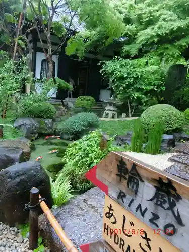 長谷寺(神奈川県)