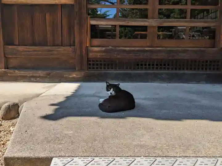 八幡社(柏井町)の動物