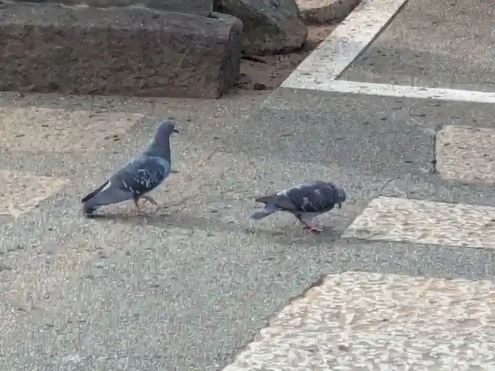 千手院(東京都)