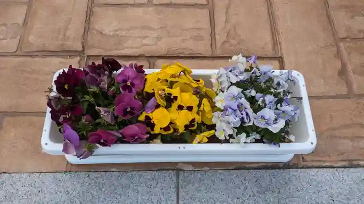 新川皇大神社の庭園