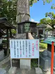 正八幡宮(福岡県)