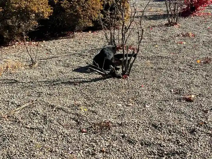 長福寺(長野県)