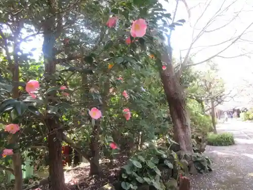 極楽寺（霊鷲山感應院極楽律寺）の景色