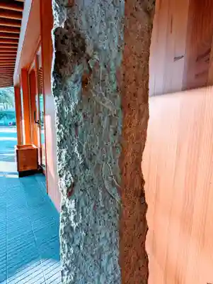 増上寺塔頭 三縁山 宝珠院の像