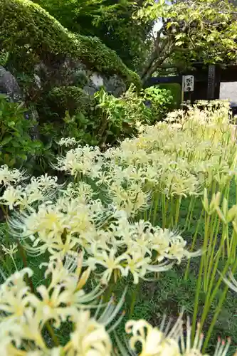 横浜　西方寺(神奈川県)