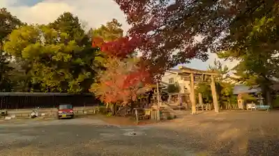 離宮八幡宮(京都府)