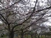 濱見神社(福井県)