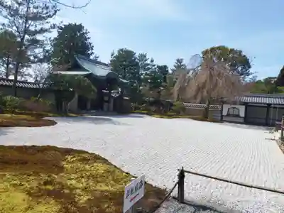 高台寺（高台寿聖禅寺・高臺寺）(京都府)