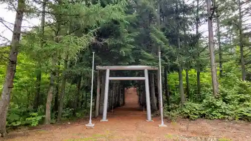 日新神社の鳥居