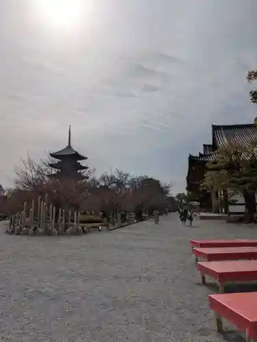 東寺（教王護国寺）(京都府)
