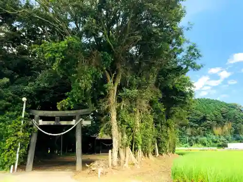 紀伊神社の鳥居