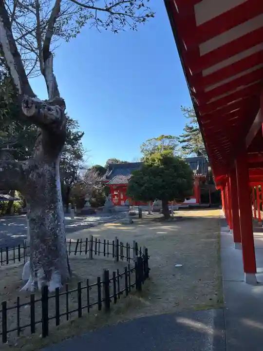 浜松秋葉神社(静岡県)