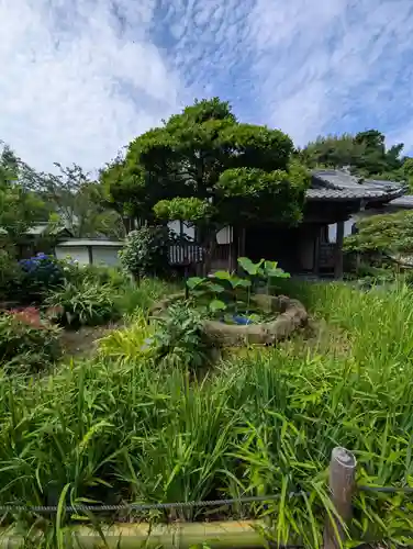 極楽寺（霊鷲山感應院極楽律寺）の庭園