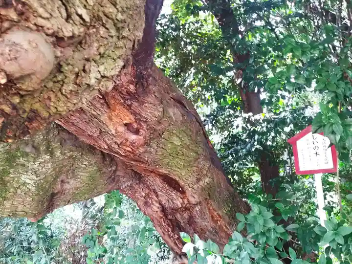 春日神社(大阪府)