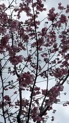 熊野若王子神社(京都府)