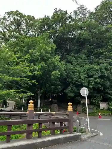 川越氷川神社の{uncategorized: "未分類", other: "その他", undefined: "問題あり", building: "その他建物", grave: "お墓", sacred_gate: "鳥居", guardian: "狛犬", statue: "像", buddha: "仏像", history: "歴史", nature: "自然", garden: "庭園", animal: "動物", pagoda: "塔", temizu: "手水舎", mountain_gate: "山門・神門", sanctuary: "本殿・本堂", subordinate: "末社・摂社", art: "芸術", scenery: "景色", jizo: "地蔵", ema: "絵馬", goshuin: "御朱印", omikuji: "おみくじ", items: "授与品その他", amulet: "お守り", goshuincho: "御朱印帳", eats: "食事", festival: "お祭り", votive_dance: "神楽", shichigosan: "七五三参", wedding: "結婚式", experience: "体験その他", initially: "初詣", around: "周辺", anti_infection: "感染症対策"}