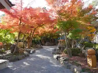 宝徳寺の景色