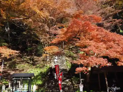 金剛院(京都府)