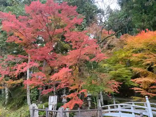 高蔵寺(兵庫県)