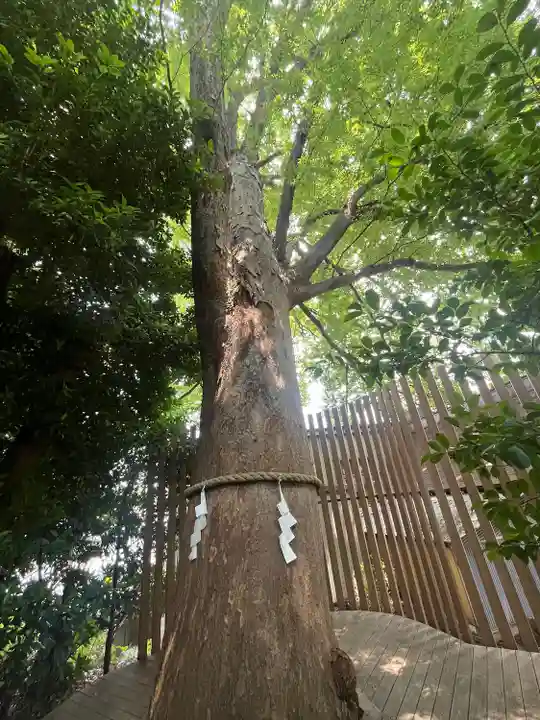 鎮守氷川神社(埼玉県)