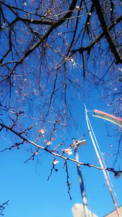 尾張猿田彦神社の自然