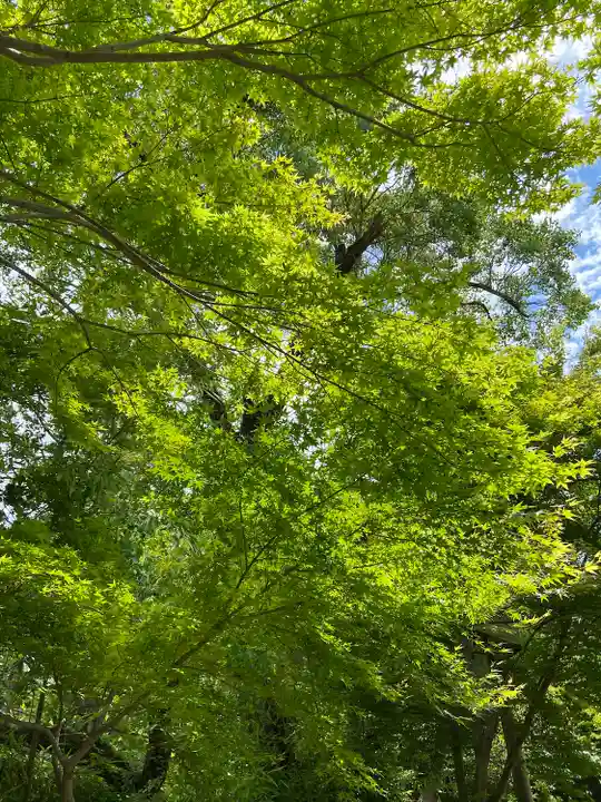 曼殊院門跡(京都府)