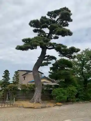 淨閑寺(千葉県)