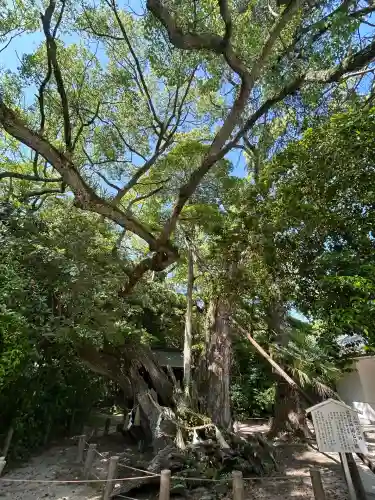 大山祇神社(愛媛県)