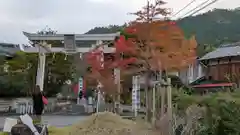 鍬山神社(京都府)